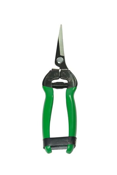 Generic Brand Eltu 429E5 - Foarfecă pentru citrice cu lamă dreaptă 184 mm