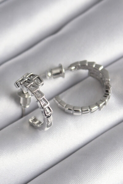 OGHAMAY Brass Silver Color Zircon Stone Snake Model Women's Earrings