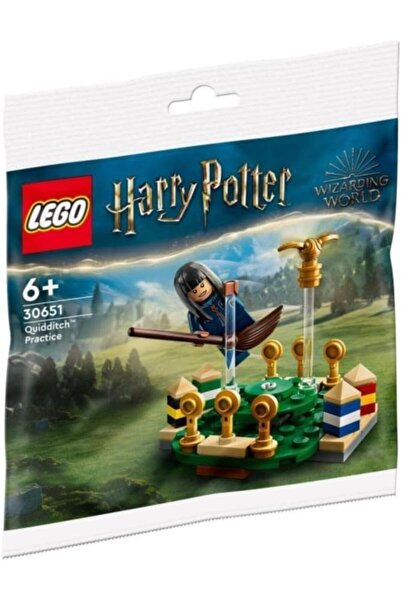 LEGO هاري بوتر: حقيبة بولي باج للتدريب على لعبة الكويديتش 30651
