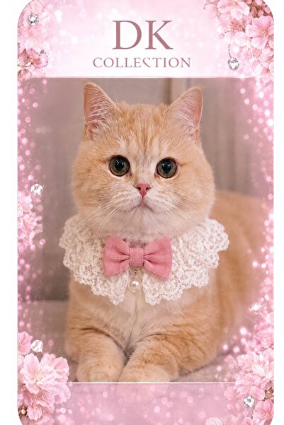 DUDAKTAN KALBE Kedi Tasması Süslü Pabyonlu Boyun Tasması