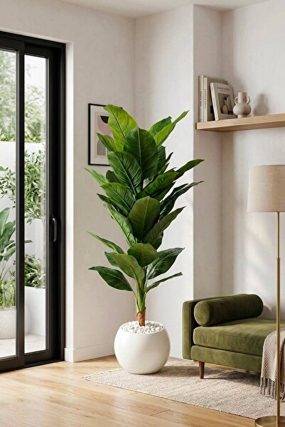 Rota Nest 175cm 30 Yapraklı Yapay Muz Ağacı (Difenbahya) Yapay Ağaç - 30cm Kü...