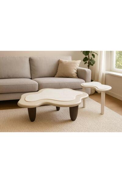 Miro Two-piece wooden top coffee table set - Kokui