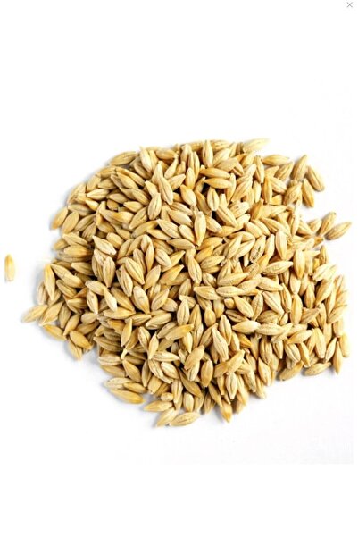 Bıldırcın Yemi 1 KG, Hızlı Büyüme %22 Protein Büyütme Yemi, Sağlıklı Gelişim İçin Granül Yem