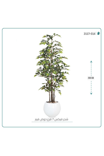 OEMS شجرة اوراق الفيكس الصناعية بحوض فيبر { ارتفاع 200 سم }