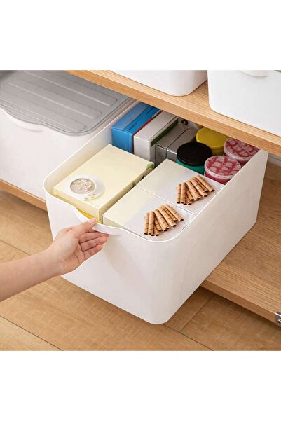 PAN HOME Alaine Storage Box With Lid 45x30.7x24cm - White/grey