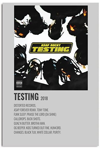 ESSESORIES Rocky Testing Album Aesthetics Music Poster Wall Art Room Decor Se...
