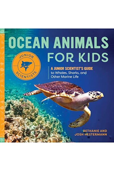 Rockridge Press Ocean Animals For Kids