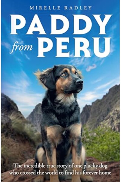 Harper Collins Paddy From Peru