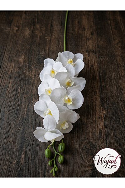 ABBRA Artificial Orchid Flowers