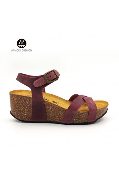 PLAKTON 875087 Apure Burdeos