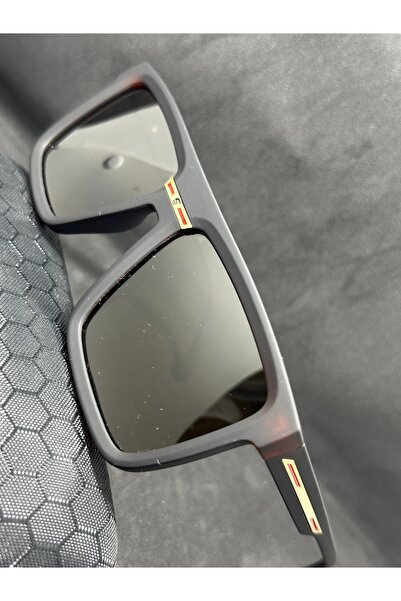 Sunglasses Classic & Modern Men’s