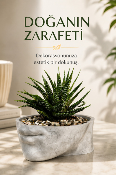 İBERİALHOME Modern Yüz Figürlü Dekoratif Obje | Sukulent & Kaktüs Saksısı | M...