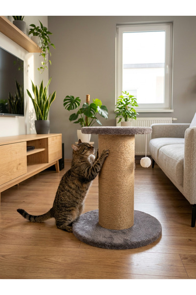 PETiTOYS Mega Çap Kedi Tırmalama Tahtası Catnipli