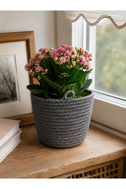 ÖRGÜM Coș decorativ pentru ghiveci 15x15 cm