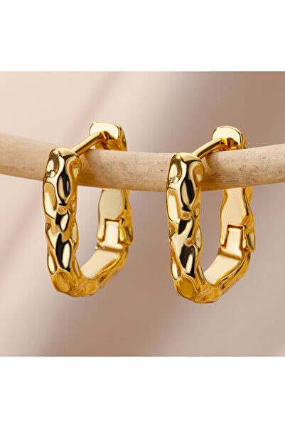 Choice4 E3120G-8 Stainless Steel Earrings for Women Gold Color Heart Hoop Ear...