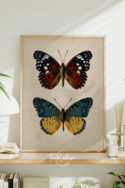 tablodea Vintage Butterfly Painting – Botanical Nature Themed Stylish Kitchen...