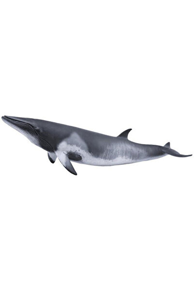 Collecta Balena Bowhead de Nord pentru copii de peste 3 ani, 5,5 cm