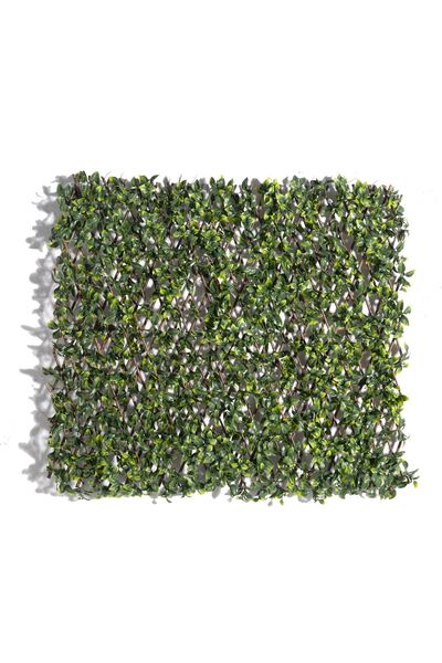 SUPERGREENS Τεχνητή Φυλλωσιά Πτυσσόμενη Σεφλέρα Arboricola 100x200 εκ