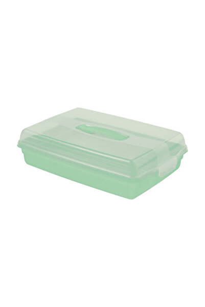 CURVER Cutie de depozitare din plastic cu capac, albastră, 45x29.5x11.1cm, 1 ...