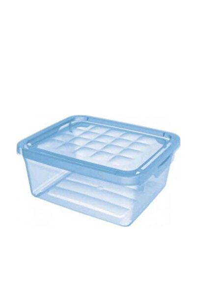 CURVER Cutie de depozitare din plastic cu capac, transparentă, 34.2x29.7x12.5...