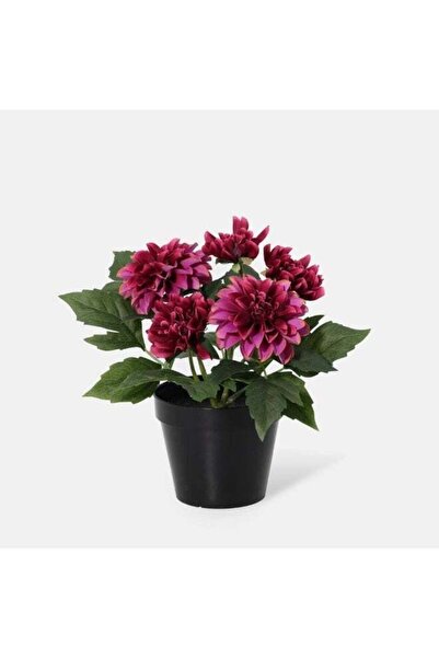 Danube Home Fernza Artificial Dahlia Plant 26cm Purple Potted Indoor Flower