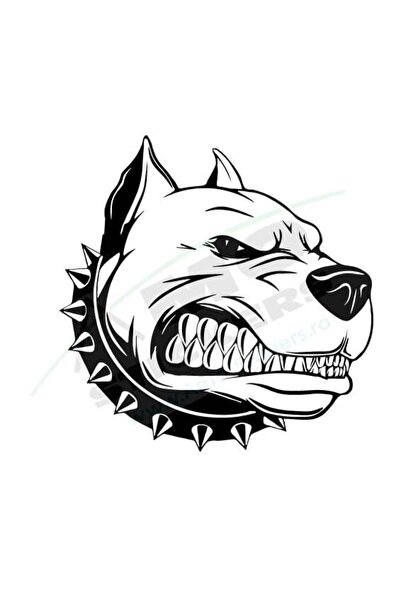 Amo-Stickers Pitbull Sticker 25cm Green
