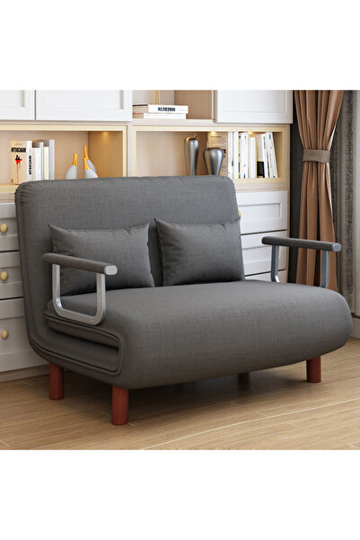 Diason Convertible Double Sofa Bed with Armrests, Folding Loveseat Sleeper Ch...