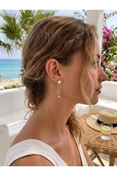 SoulSisco Jewellery Yıldız Detaylı Sallantılı Küpe