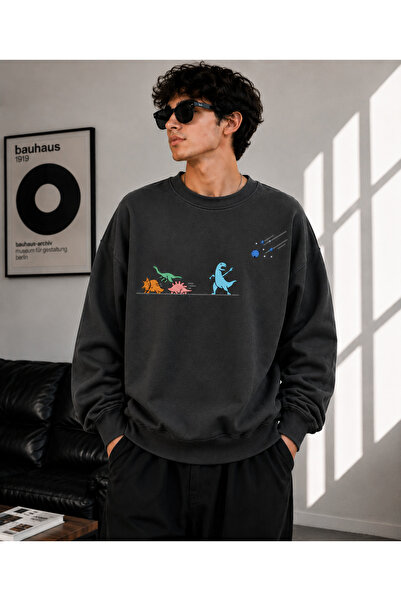 caddekombin Unisex Dinosaur Printed Crew Neck Sweatshirt