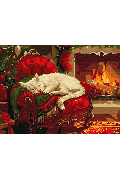 ideyka Set pictura pe numere multicolor 30x40cm Craciun