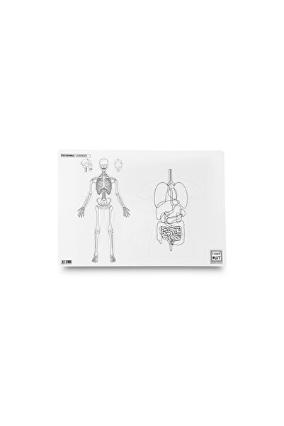 Strigo Plansa Funny Mat - Corpul Uman, 48x33.5 cm