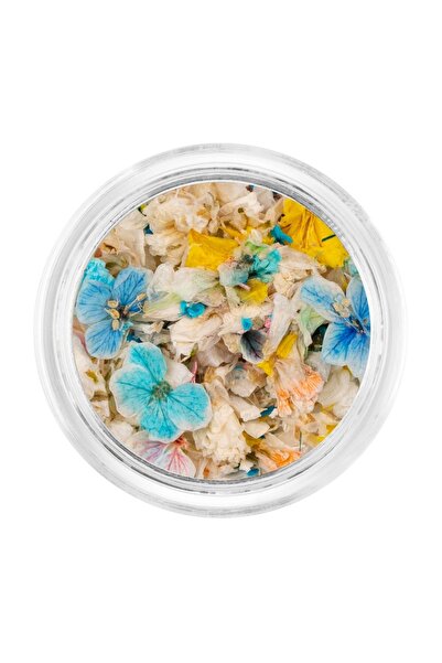 LUXORISE Flori Uscate pentru Unghii - Vibe Pastel