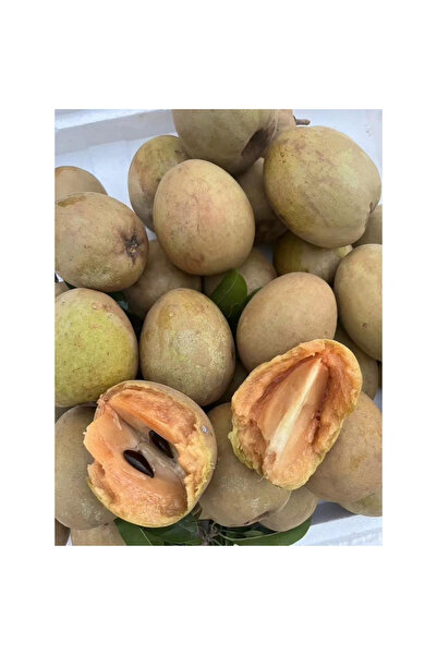 123 Oval Fruit with Brown Skin, 100 Units, Tropical Fruit Tree with Sweet Ora...