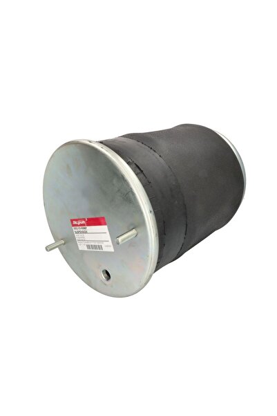 MAGNUM TECHNOLOGY Perna de Aer Spate With Base) Saf B Intradisc Plus Iu O Pu ...