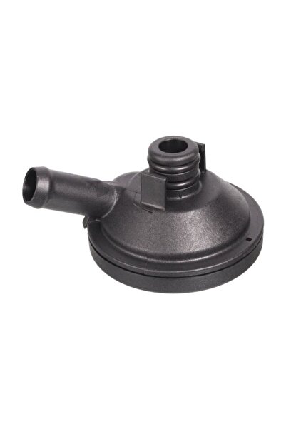 FEBI BILSTEIN Separator de Ulei Renault Clio Iii Megane Ii Scenic Ii 2.0 11.0...