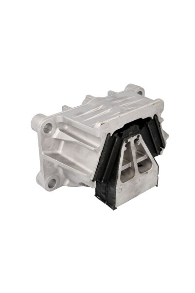 REINHOCH Suport Motor RH58-9011