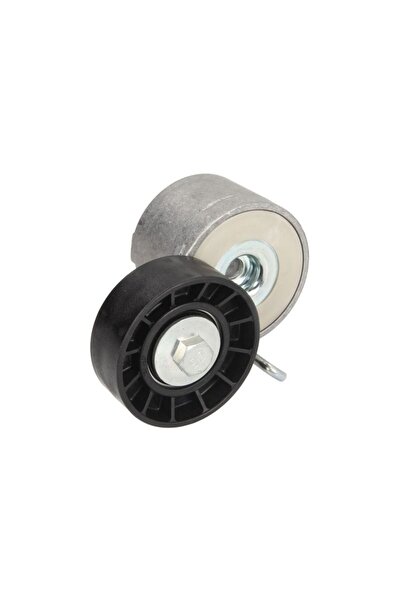 DAYCO Intinzator, Curea Accesorii Iveco Daily Iii Daily Iv Daily V Daily Vi C...