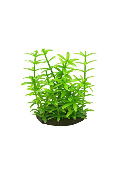 Ocean Free Plante verzi artificiale mici 9 cm Egeria verde