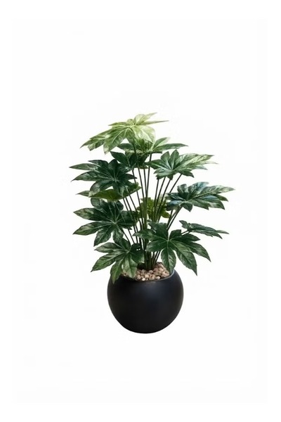 Generic 90 cm Artificial Fatsia Japonica Plant in Black Pot | Premium Indoor ...