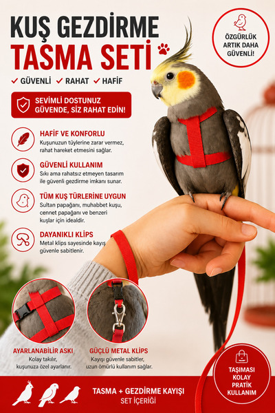 Petshop Kırmızı Kuş Gezdirme Tasması Seti Ayarlanabilir Papağan Uçuş Tasması ...