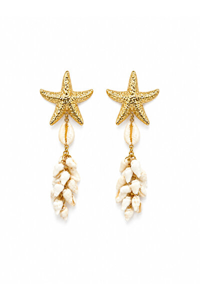 Venus Design Steel Starfish-Mussel Earrings