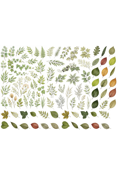 TELLGRAF Leaves Themed Sticker Set (21X30 cm 1 Set)
