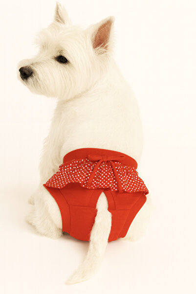 Empressco Red Polka Dot Small Breed Menstrual Underwear, Provides Comfort and...