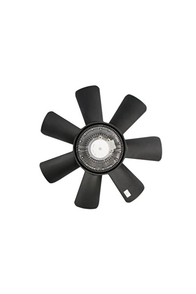 BORG-WARNER Vascocuplaj Ventilator Radiator (ventilator, Numar Pini: 5) Case ...