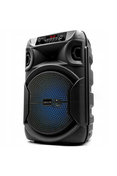 NO BRAND Difuzor mobil SQUEAK SQ1006 Radio FM Negru