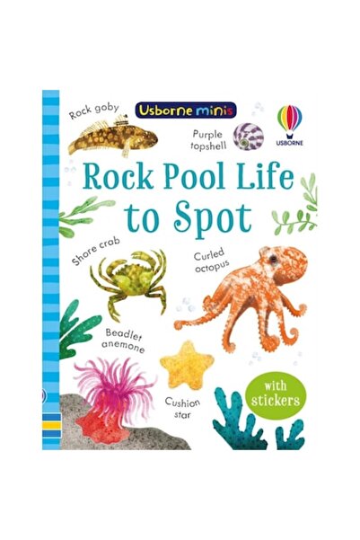 Usborne Rock Pool Life To Spot - Simon Tudhope