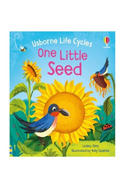 Usborne One Little Seed - Lesley Sims