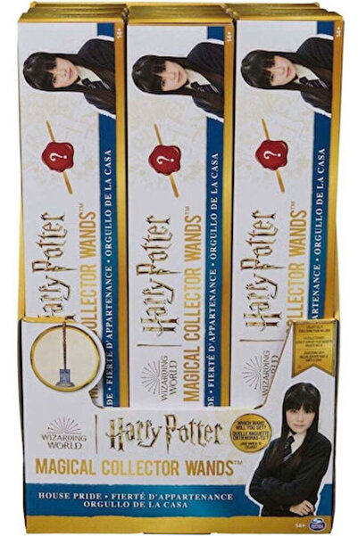 Harry Potter Μαγικό Ραβδί Συλλέκτη Πράιντ Αστ 6067599 Κωδικός: 6067599