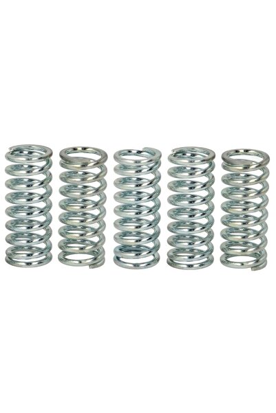 TRW Set Arcuri Ambreiaj (ranforsat) Honda Cb Cbr Vfr Kawasaki Kx Zzr Triumph ...