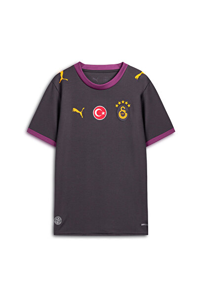 Puma Galatasaray 26/27 Kids Away Gray Jersey